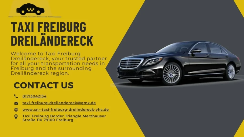 Freiburg Basel Airport Transfer