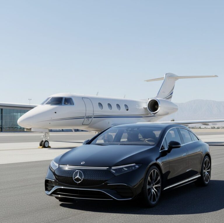 Eco Friendly Transfers